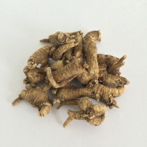 樹林參 (小）(每两)